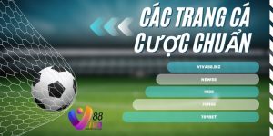 5 Trang cá cược bóng đá chuẩn nhất